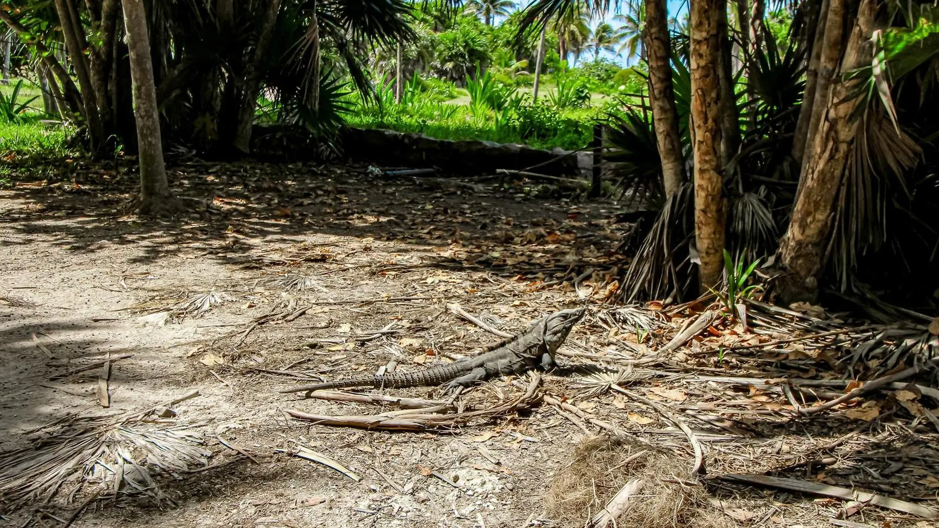 Сasa de vacaciones Ikebana Villa Tulum